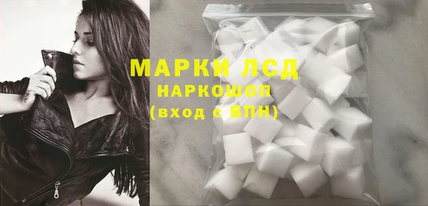 ECSTASY Богданович