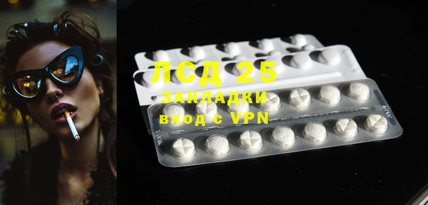 ECSTASY Богданович