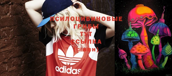 гидра Белокуриха