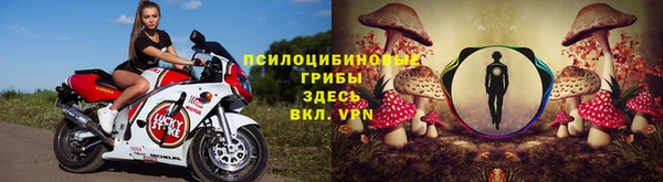 ECSTASY Богданович