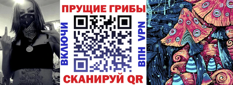дарк нет клад  Троицк  Псилоцибиновые грибы ЛСД 